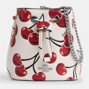 Coach Cherry Drawstring Wristlet CZ030 Mini Bag - White and Red